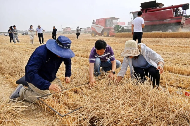 ​Jinan makes steady progress in tackling food loss, waste