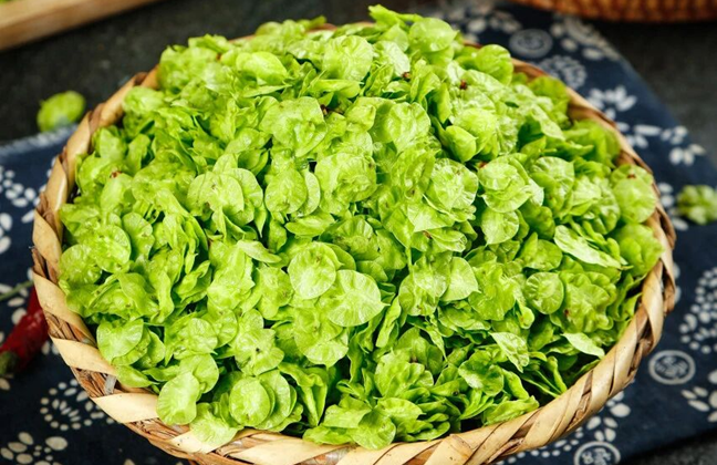 Taste of spring: Five seasonal wild delicacies in Jinan