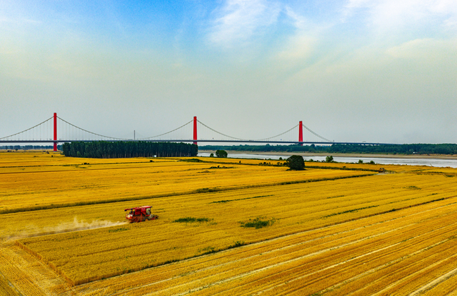 Jinan charts path for agricultural modernization, rural vitalization