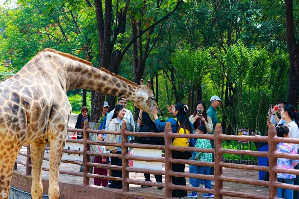 Scenic spots in Jinan host special spring events