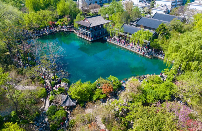 Spring blossoms, cultural vibrancy drive holiday tourism in Jinan