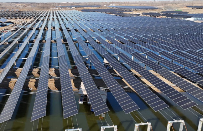 'Fishery-solar' integration sparks rural vitalization in Jinan
