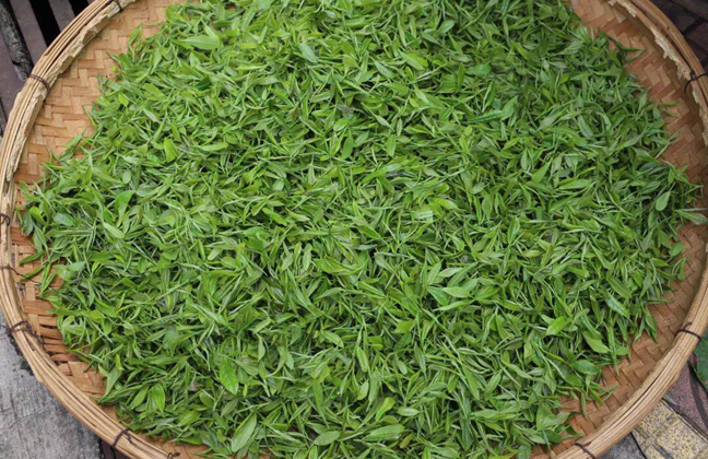 Jinan to expand agricultural footprint during HK–Macao Shandong week