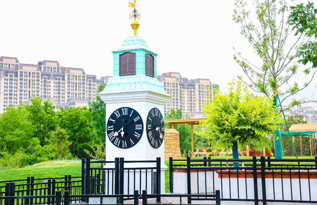 New sister-city garden highlights Jinan–Novi Sad ties