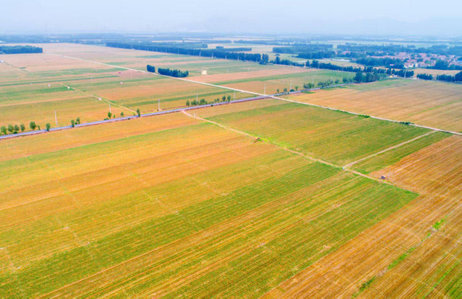 Jinan charts course for modernized rural landscape