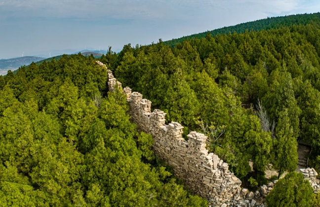 Three routes to help you discover Jinan's cultural heritage