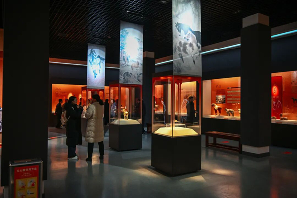展览_副本.jpg