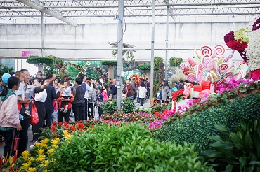 Jinan to celebrate Chinese Farmer's Harvest Festival with flower expo