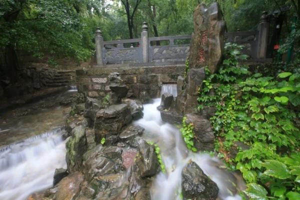 Yongquan Spring Bamboo Forest: A refreshing summer retreat