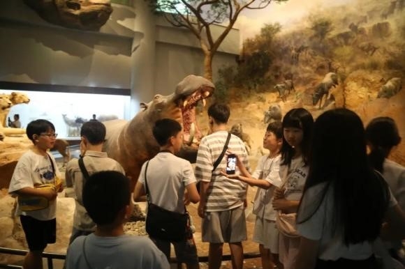 South Korean youth explore traditional Chinese culture in Jinan