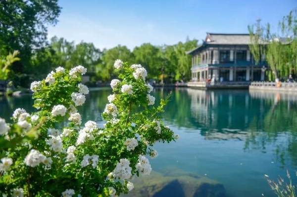 Jinan blossoms into early summer