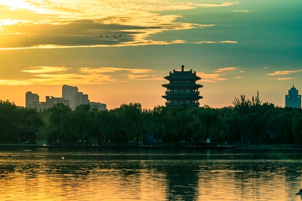 Jinan's foreign trade maintains strong growth in first 7 months