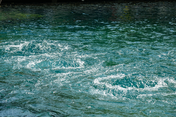 High groundwater levels keep Baotu Spring flowing